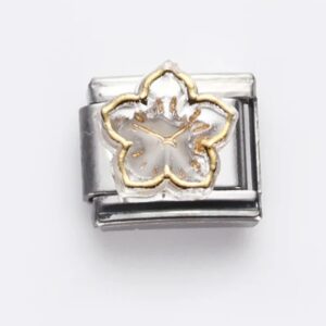 White Cherry Blossom