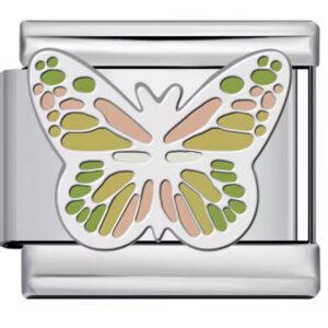 Orange & Green Butterfly